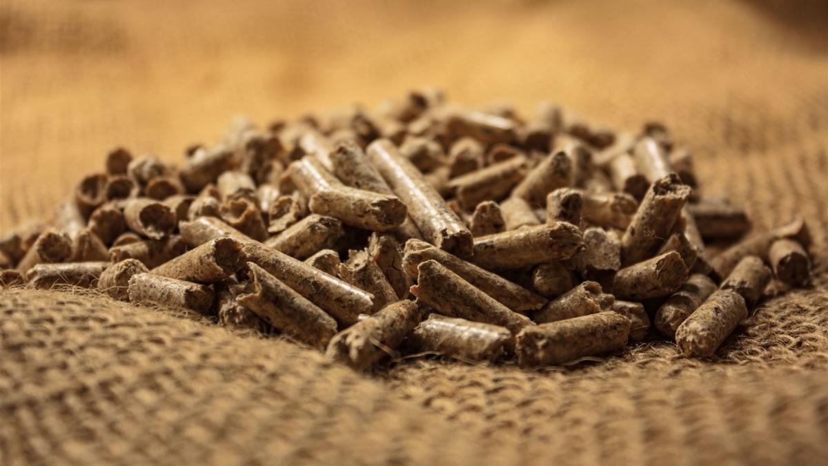 Kostensenkung bei Holzpellets